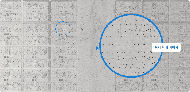 Copper plate and copper film surface inspection image 2